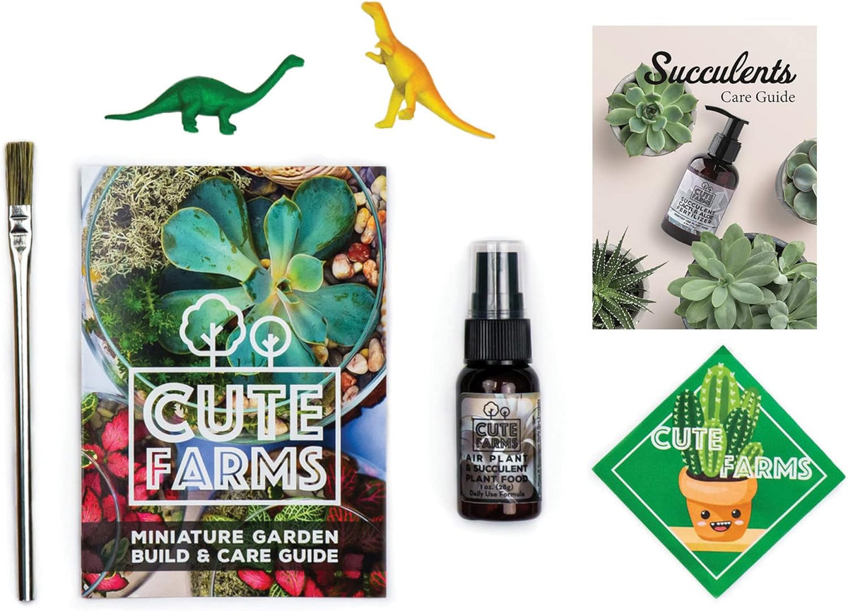 Cute Farms Glass Terrarium Kit | Just Add Your Own Plants (Geometric Glass)