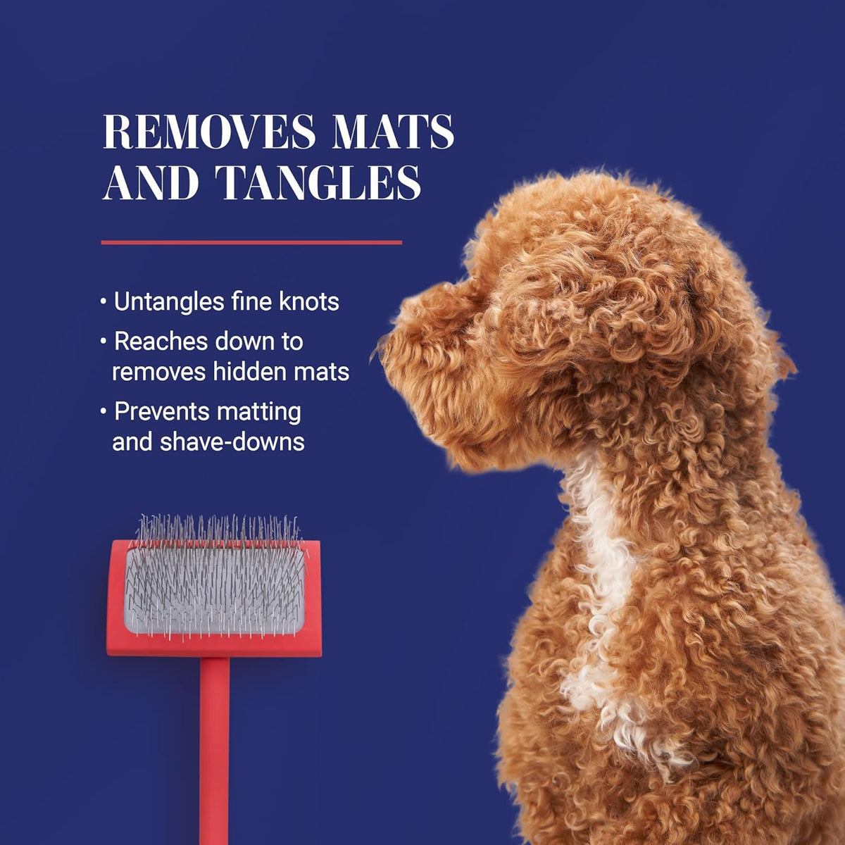 Chris Christensen Big G Dog Slicker Brush for Dogs (Goldendoodles, Labradoodles, Poodles), Groom
