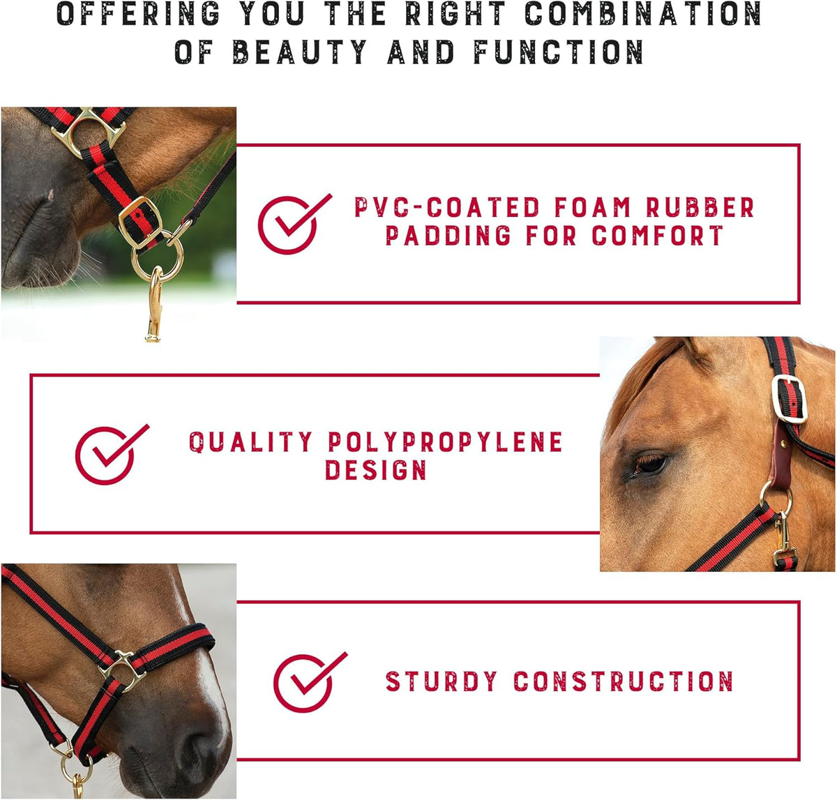 Weaver Equine Breakaway Horse Halter, Comfort Foam Padding, Adjustable Chin & Throat Snap Halters
