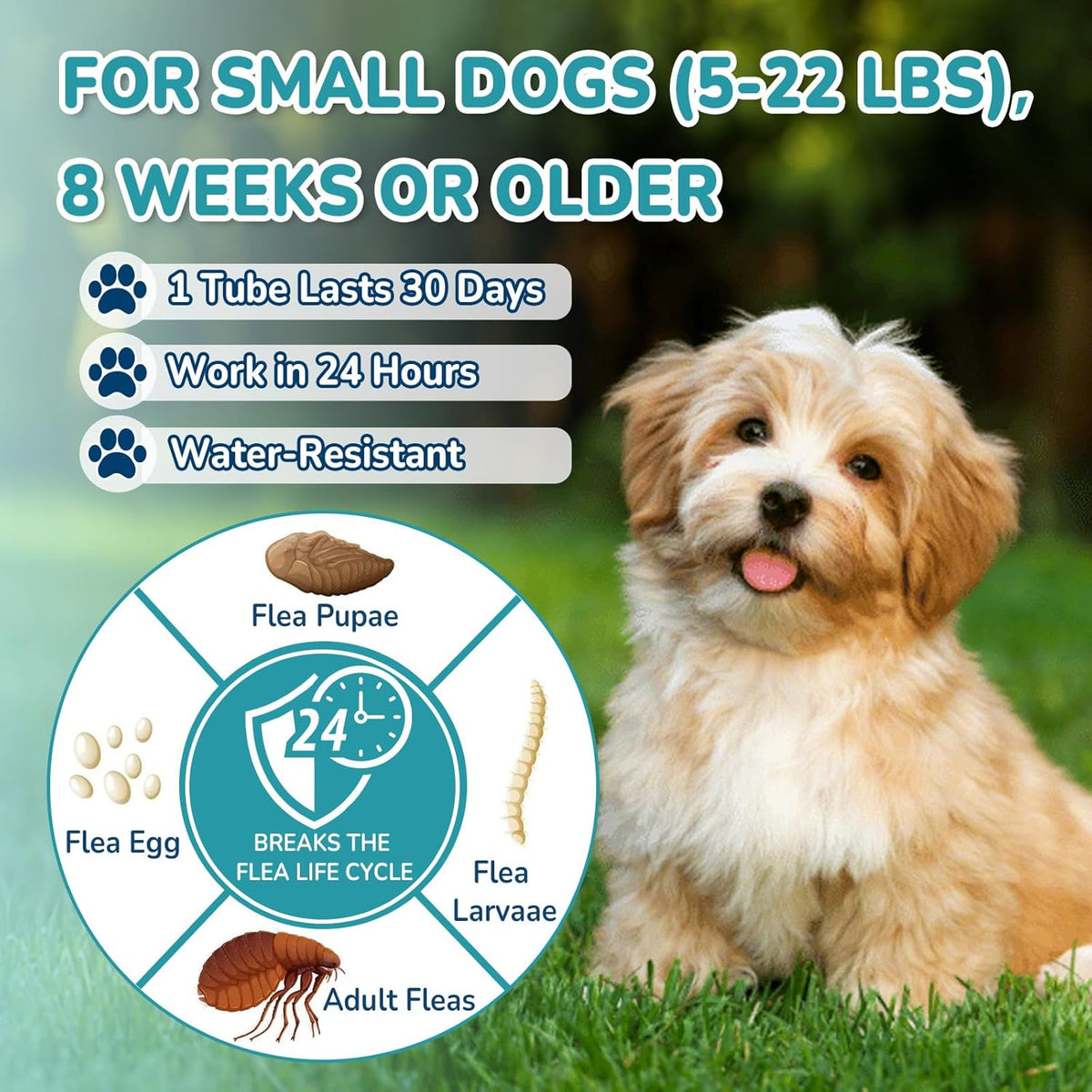 Flea and Tick Prevention for Small Dogs, 6-Month Supply Dog Flea and Tick Treatment Drops, Topical