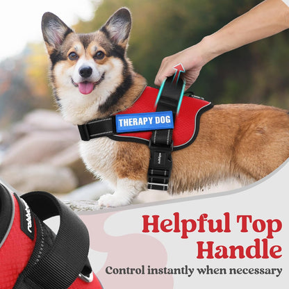 rabbitgoo Dog Harness for Small, Easy On Pet Vest with One Buckle, No Pull Adjustable Service
