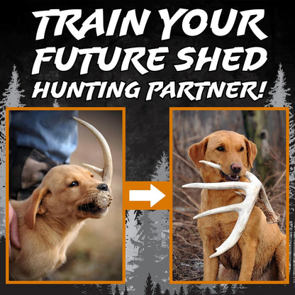 DogBone Shed Hunting Dog Training Kit – Train Your Puppy to Find Deer Antlers - Includes 2 oz Scent