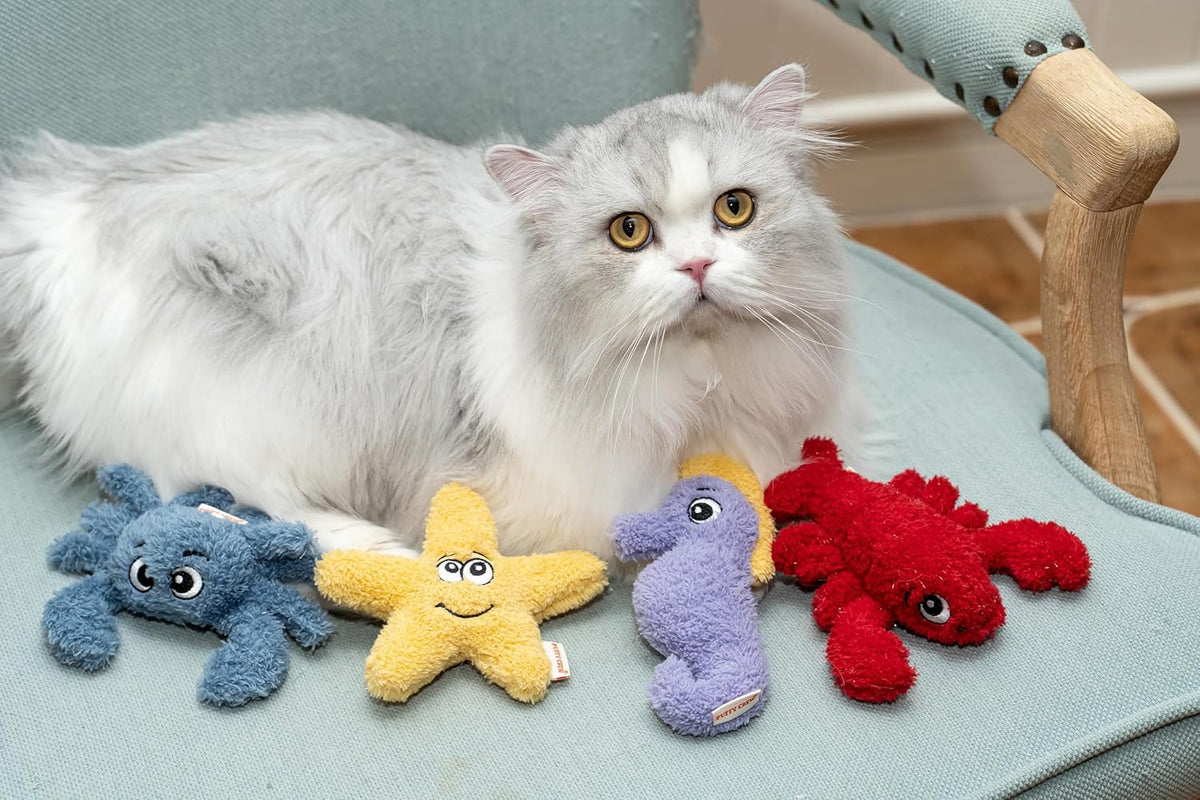 Interactive Catnip Cat Plush Toy, Ocean Theme, 5'', for All Breed Size Cats (Seahorse)