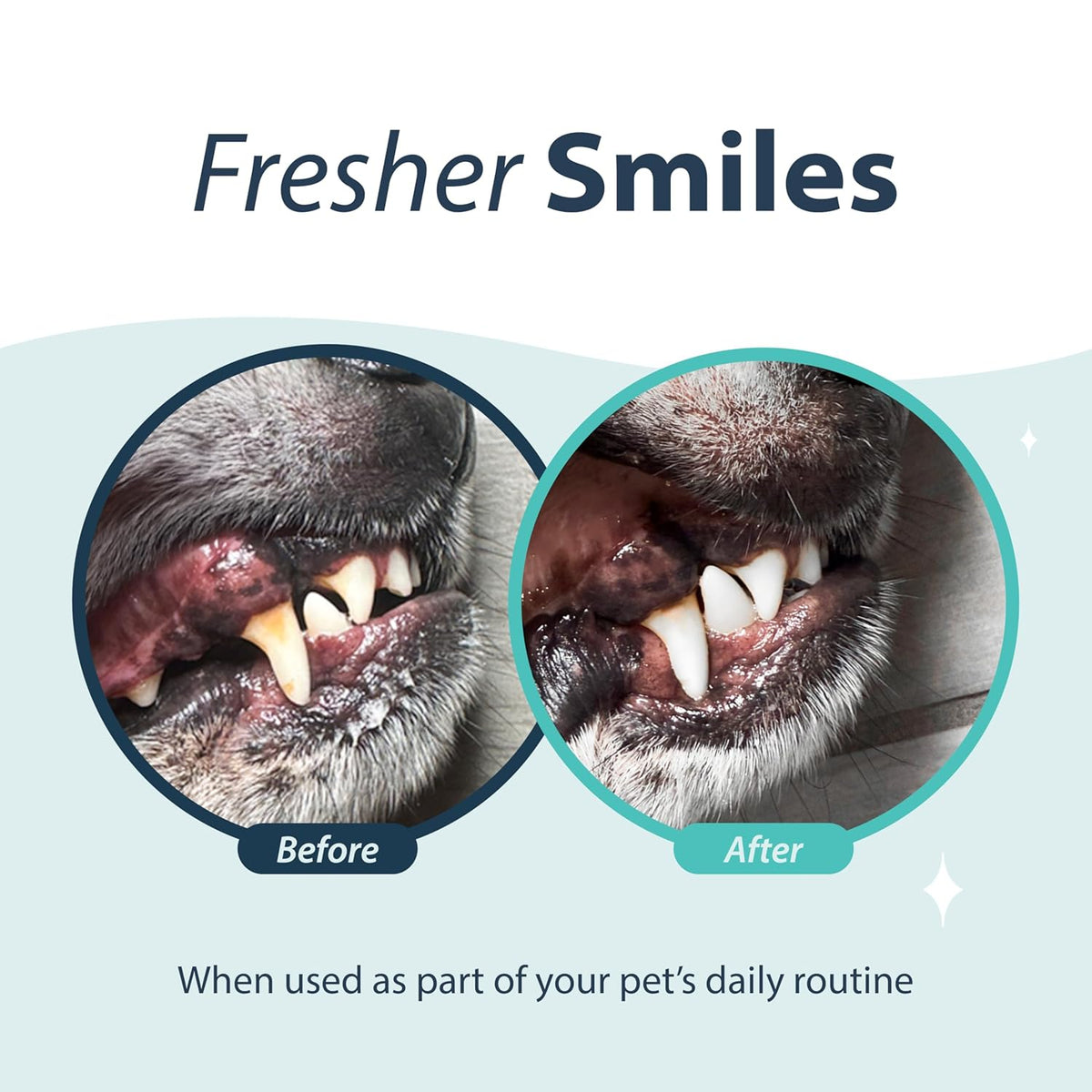 Dental Fresh Oral Spray for Dogs and Cats, Eliminates Bad Breath and Protects Their Teeth & Gums, 4