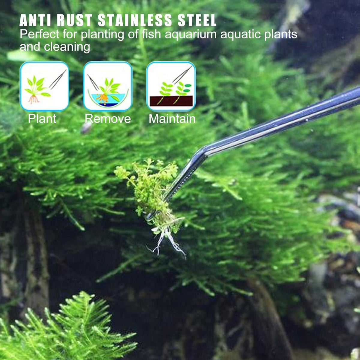 Longjet Kitchen Tweezers Metal Tongs for Cooking - Reptile Feeding Tongs for Gecko, Bearded Dragon
