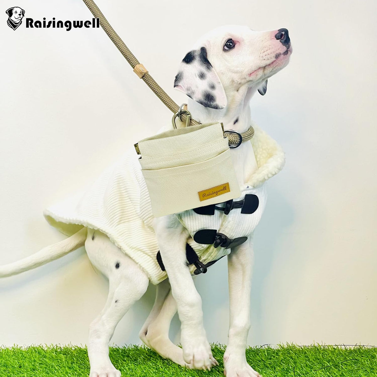 Dog Treat Pouch, Lvory Pocket Sized Pet Training Pouch, Cotton Fabric, Hand Free Dog Walking Bag