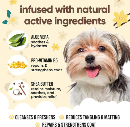 Vanilla & Shea Butter Dog Shampoo by Buddycare | Moisturising Shampoo for Dogs | Vanilla & Shea