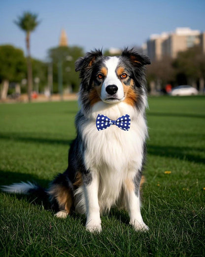 PET SHOW 5 Pack Pet Big Dogs Collar Embellishment Attachment Bow Ties for Medium Large Dogs Collar