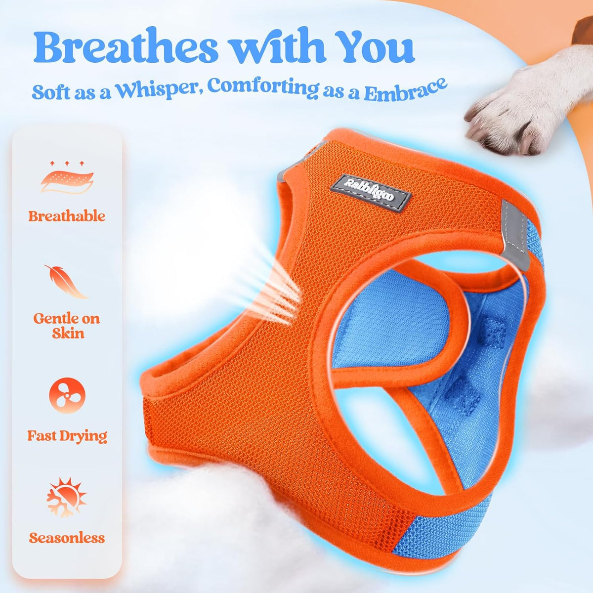 rabbitgoo Dog Harness Small Sized and Leash Set, Step in Soft Light Puppy Vest, Breathable Mesh Pet