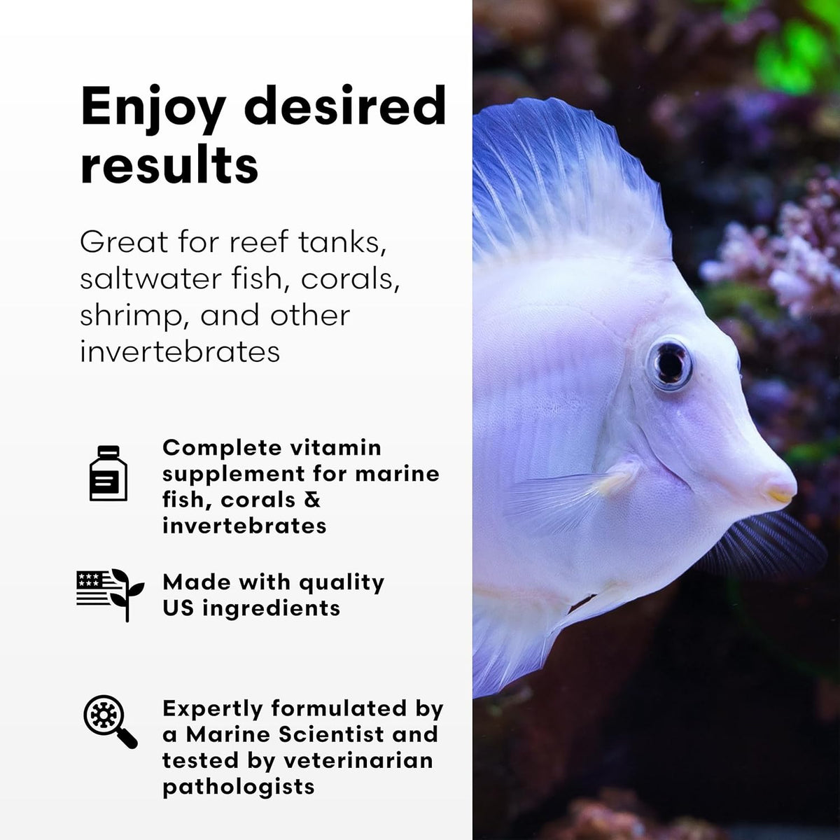 Brightwell Aquatics Vitamarin-M – Complete Vitamin Supplement for Marine Fish, Corals &