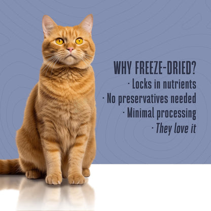 Whole Life Pet Healthy Skin and Coat Cat Supplements for Dry Skin, Allergy & Stomach Relief, Cat