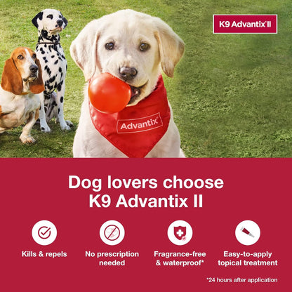 K9 Advantix II Small Dog Vet-Recommended Flea, Tick & Mosquito Treatment & Prevention | Dogs 4-10