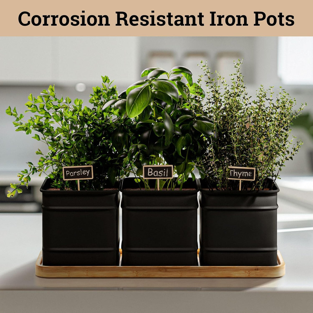 Herb Planter Indoor - 3 Iron Herb Pots with Drainage Holes, Varnished Bamboo Tray, Customizable
