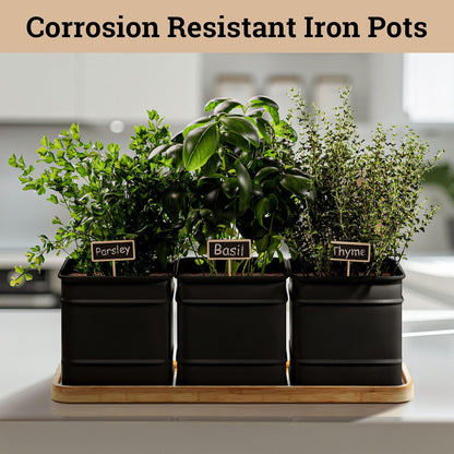 Herb Planter Indoor - 3 Iron Herb Pots with Drainage Holes, Varnished Bamboo Tray, Customizable