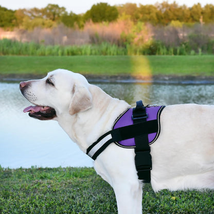 Dogline Dog Harness, Reflective No-Pull Adjustable Vest with Handle for Walking, Training