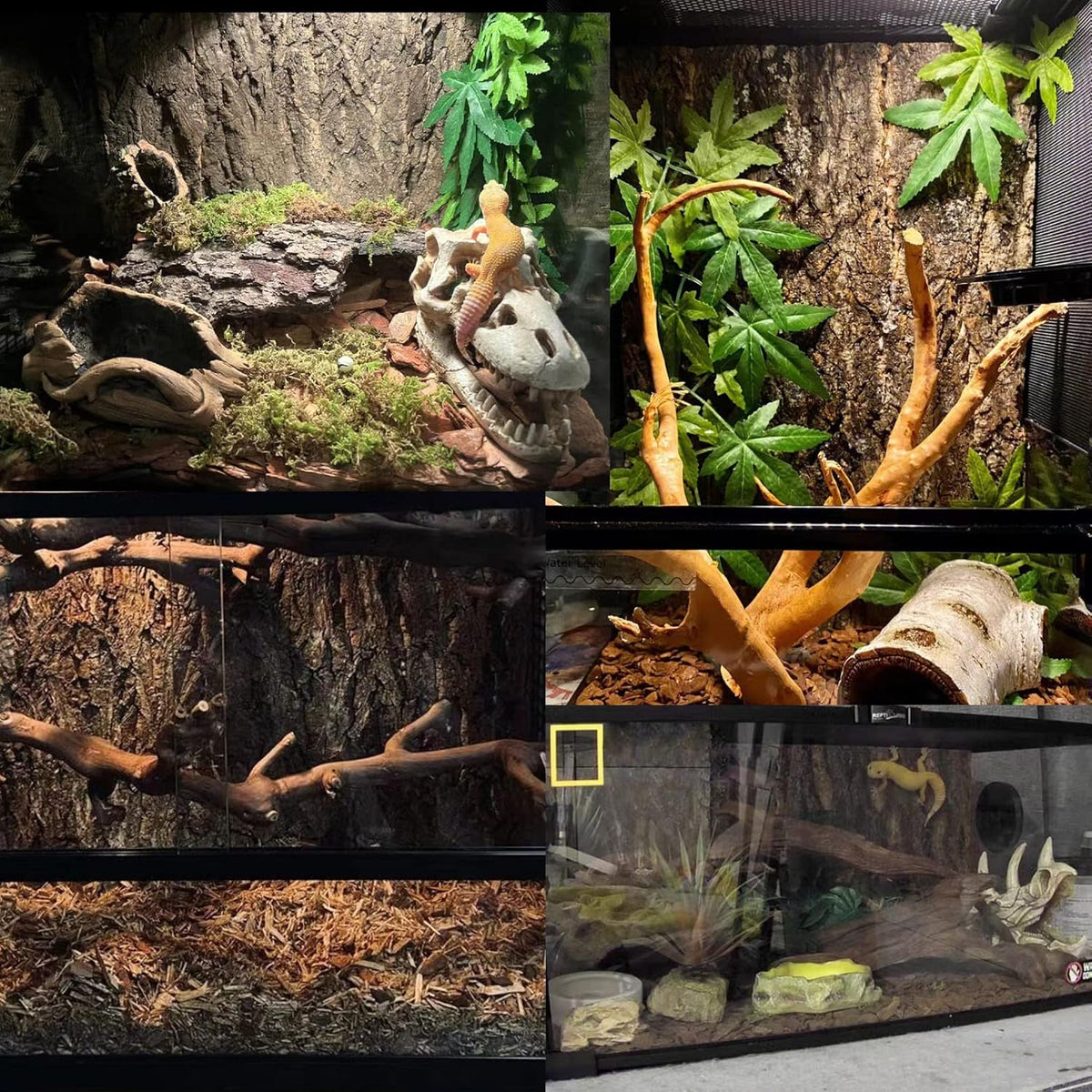 Tfwadmx 2Pcs Terrarium Cork Bark Background, 11.8"x7.8" Thickened Reptile Tank Tree Backdrop Wall