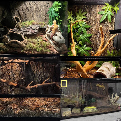 Tfwadmx 2Pcs Terrarium Cork Bark Background, 11.8"x7.8" Thickened Reptile Tank Tree Backdrop Wall
