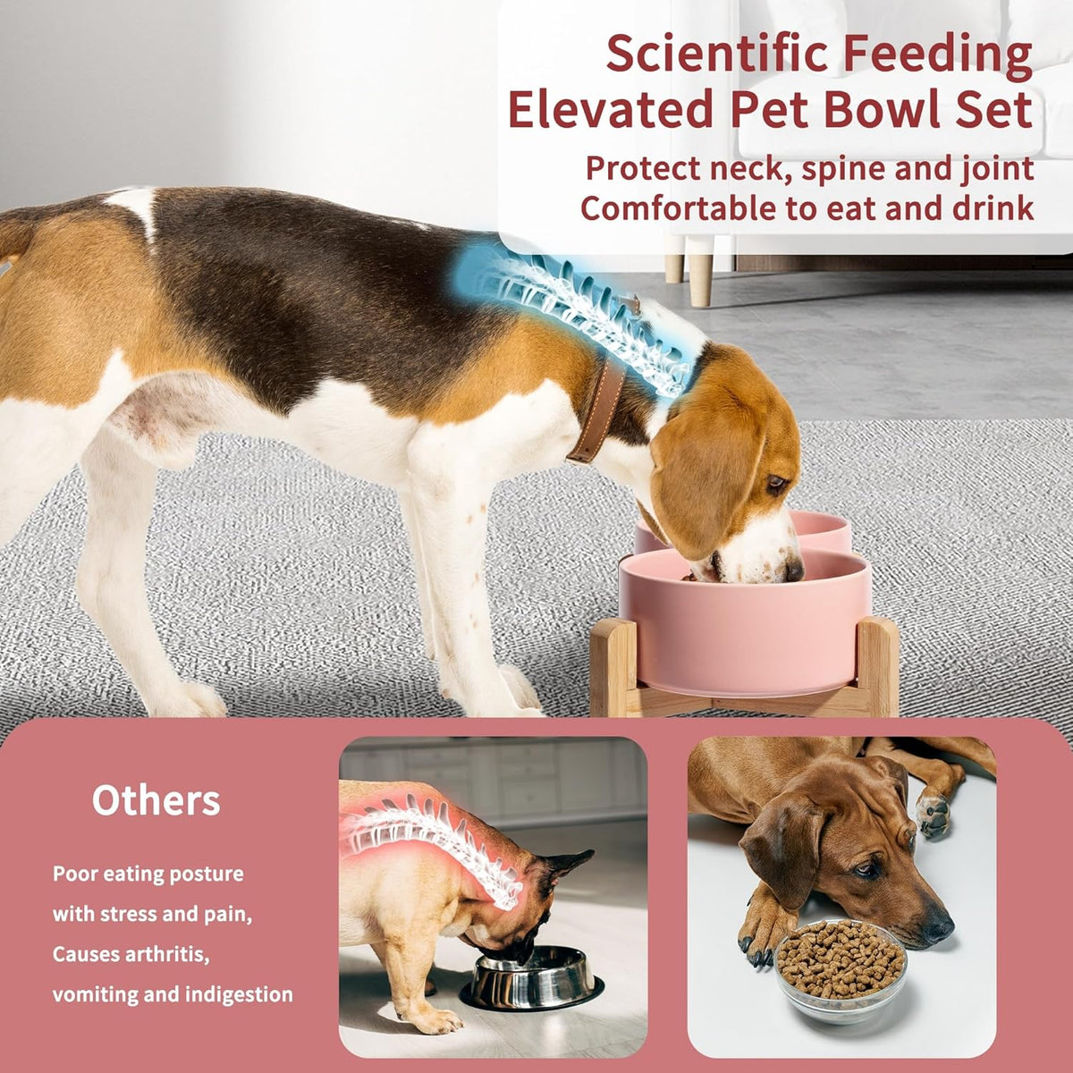 Elevated Ceramic Dog Bowl Set - Raised Dog Bowls with Non-Slip Bamboo Stand - Dog Food and Water