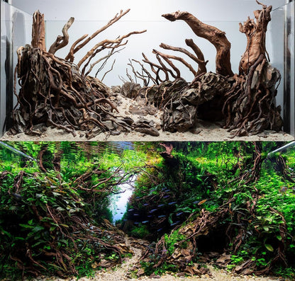 Aquarium Driftwood Roots for aquascaping - 160g Mix Natural Wood Roots for Aquarium aquascaping