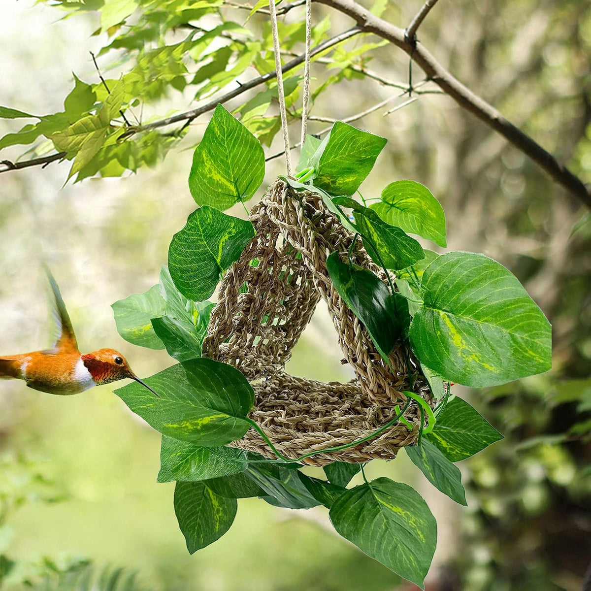 BNOSDM Bird Seagrass Mat, 3 PCS 7.1 x 7.1 Inches Parrot Natural Seagrass Woven Bird Net Hammock