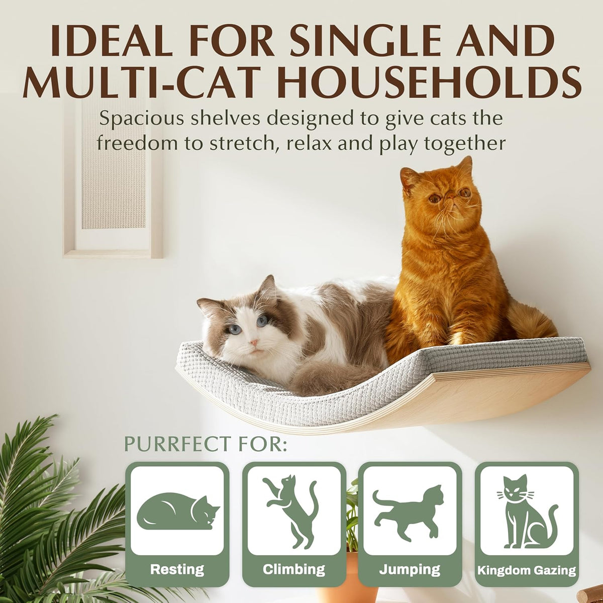 Extra Large 23.6”×14.6” CALLICO HAVEN- Stylish Cat Wall Shelves with Curved Design, Modern