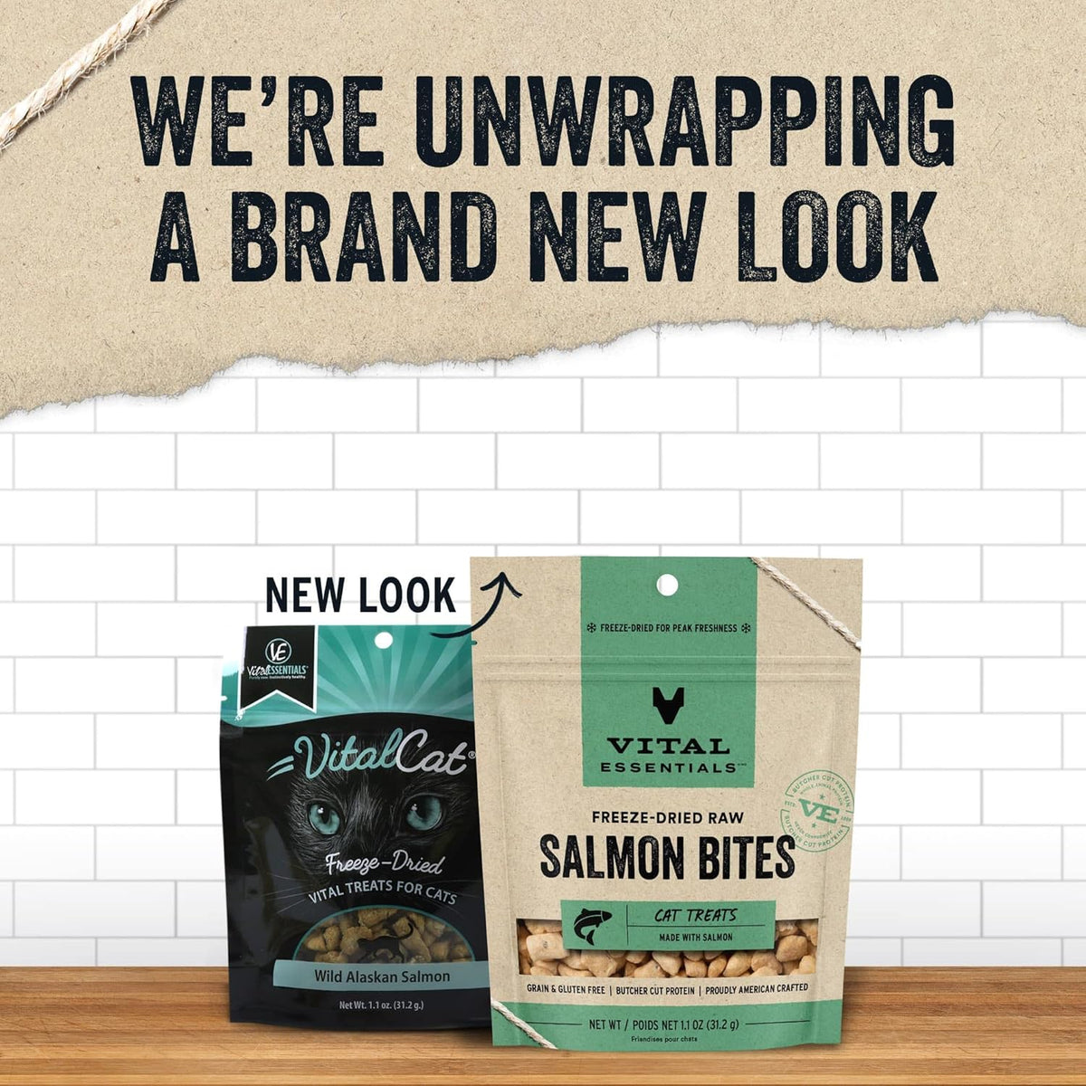 Vital Essentials Salmon Bites Cat Treats, 1.1 oz | Freeze-Dried Raw | Single Protein | Grain Free