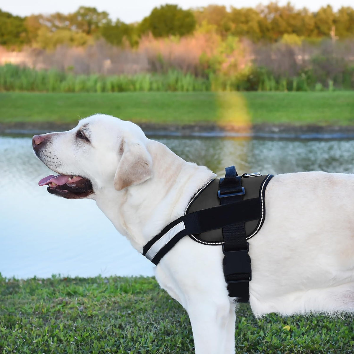 Dogline Dog Harness, Reflective No-Pull Adjustable Vest with Handle for Walking, Training