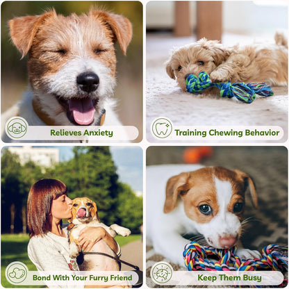 2 Pack Dog Rope Toy for Small Dogs, Puppy Teething Toys, Durable Cotton Puppy Chew Toys for