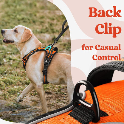 rabbitgoo Dog Harness Medium Sized, No Pull Pet Harness with 3 Buckles, Adjustable Soft Padded Vest