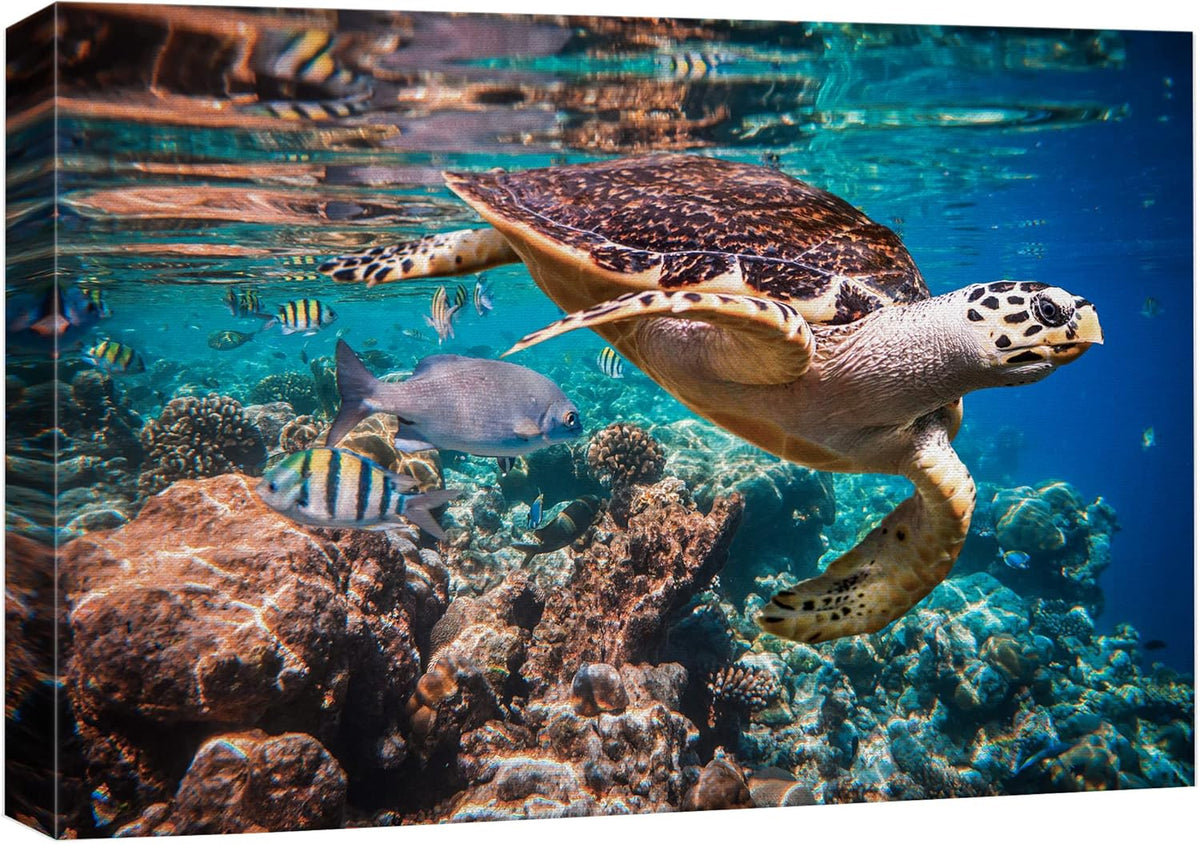 wall26 Canvas Print Wall Art Tropical Turtle Coral Reef Deep Sea Dive Nature Animals Photography