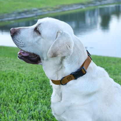 Dogline Biothane Waterproof Dog Collar with Quick Release Buckle Strong Coated Nylon Webbing with