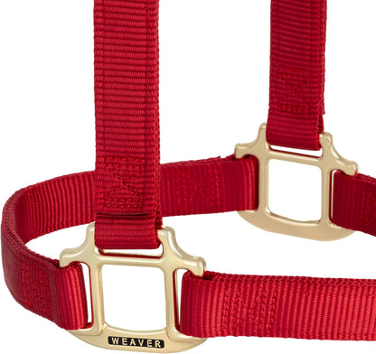 Weaver Equine Nylon Horse Halter, Triple-Ply Cheek Design, Original Non Adjustable Halters for
