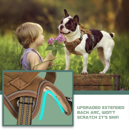 BUMBIN Tactical Dog Harness for Small Dogs No Pull, Famous TIK Tok No Pull Puppy Harness, Fit Smart