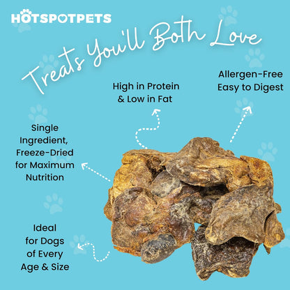 hotspot pets Freeze Dried Turkey Liver Treats for Cats & Dogs -Made in USA, 1lb Big Bag, Single