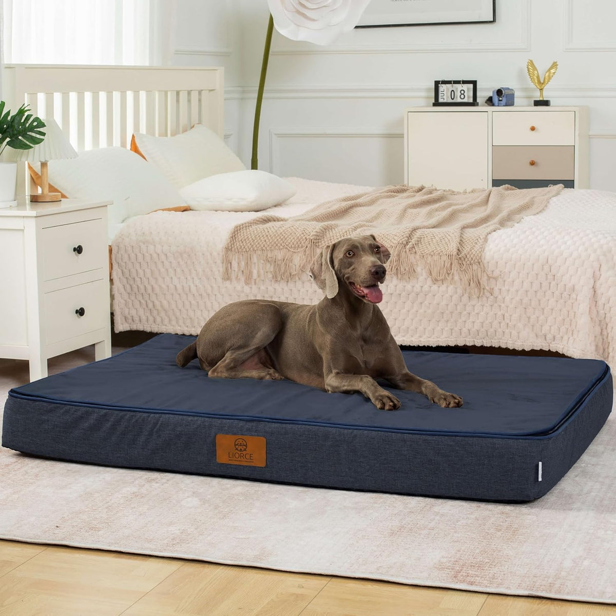 Orthopedic Memory Foam Giant Dog Bed - 6" Thick Beds for Large Sized Dog - Waterproof Removable