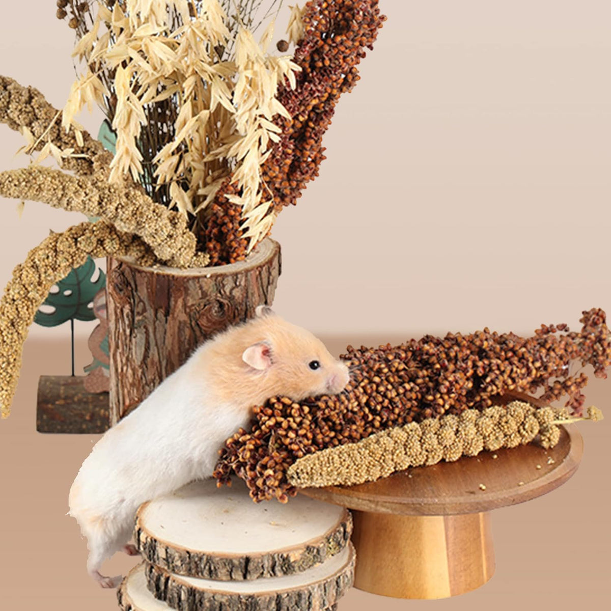 Natural Ear of Grain Flower&Herb Bedding Mate Habitat Decor, Adding Fun Hamster Accessories for