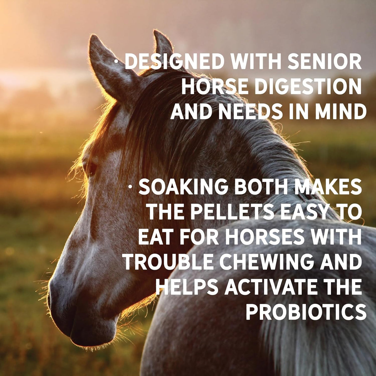 New Country Organics | Loyalty Senior Horse Pellets for Horses 15+ Years Old | Corn-Free and