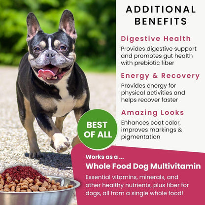 Olewo Original Red Beets for Dogs – Natural Dog Anti Itch, Dog Food Topper, Skin & Coat Support