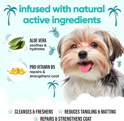 Tropical Dog Shampoo by Buddycare | Deep Cleansing Shampoo for Dogs | Tropical Scented | with Aloe
