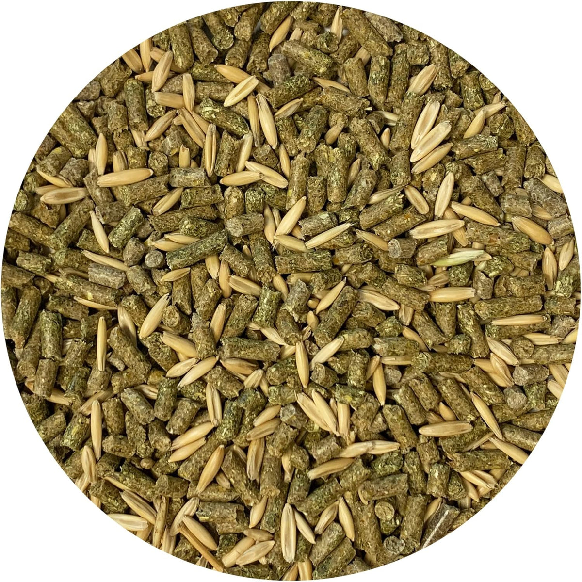 Exotic Nutrition Degu Diet (2.5lb) - Nutritionally Complete Healthy Pellet Diet with Whole Oats
