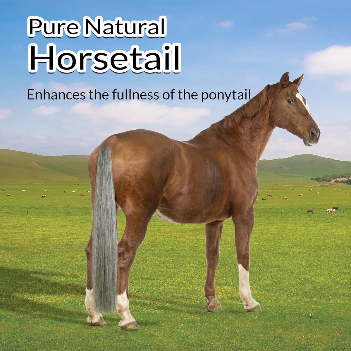 Horse Tail Extension with Braided Horsehair Loop, Blunt Cut Bottom, 3/8 lb, 28-30 inches (Medium