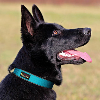 Plutus Pet Tactical Dog Collar, Reflective, Adjustable Heavy Duty Dog Collar, Soft Padded and