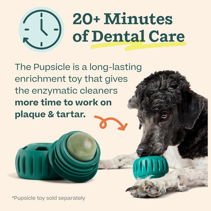 Woof Doggy Dental Pupsicle Mix - Dog Teeth Cleaning Powder for The Pupsicle - Long Lasting