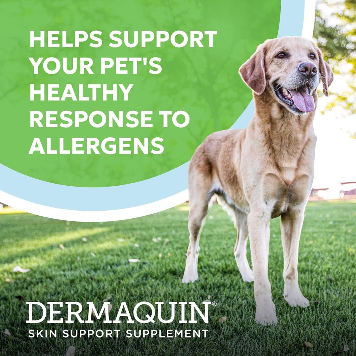 Nutramax Dermaquin Skin Support Supplement for Large Dogs, Supports Healthy Response to Allergens