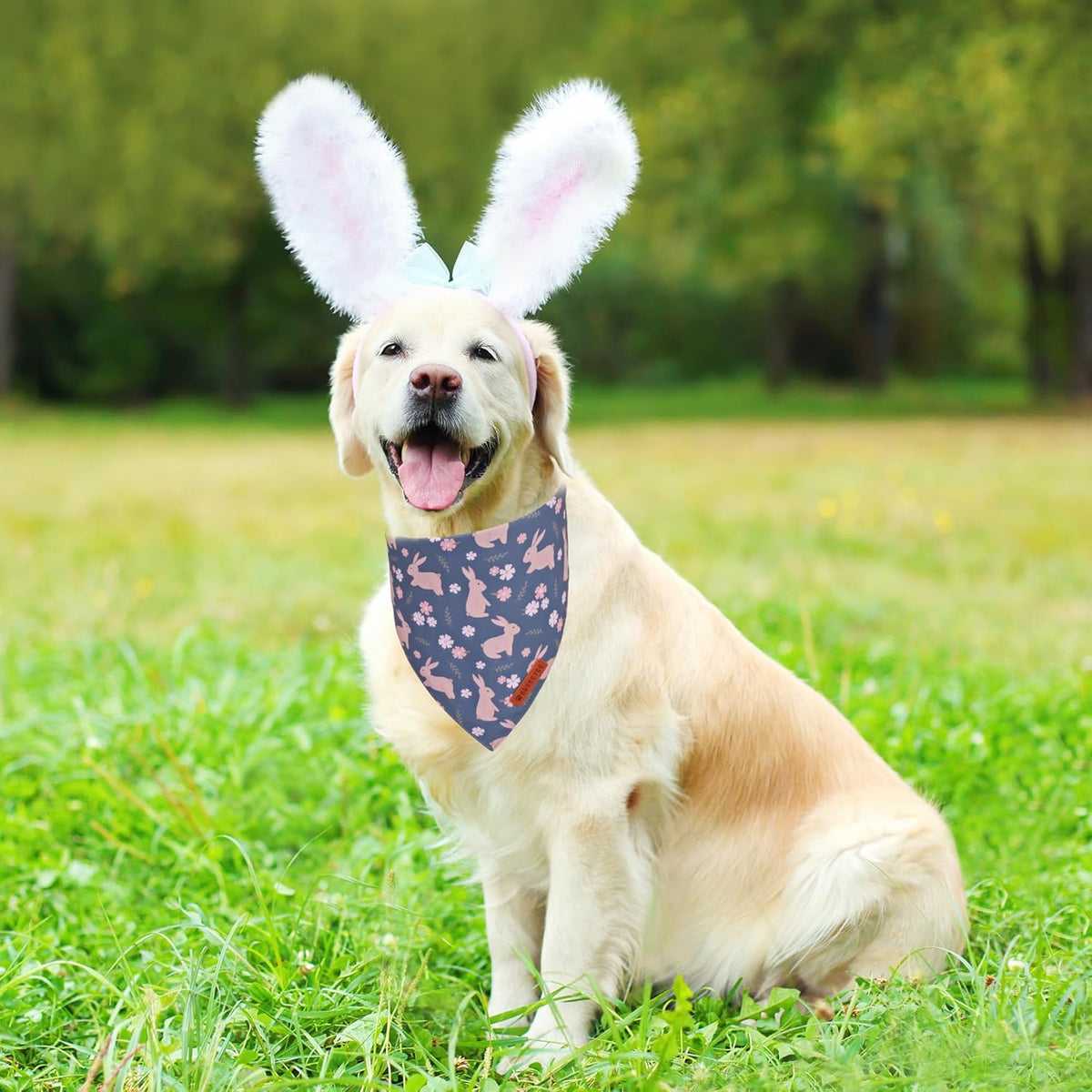 ADOGGYGO Easter Dog Bandanas, Reversible Bunny Floral Pet Scarf, Multi Size Offered, Rabbit Easter