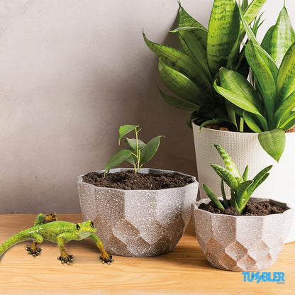 Lizard Home Decor Figurine for Desktop Decoration. Home Decor Accent for Living Room, Office