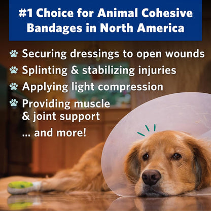 PetFlex Pet Pack – Flexible Self-Adhering Elastic Bandage for Wound Care – First Aid Wrap for Small