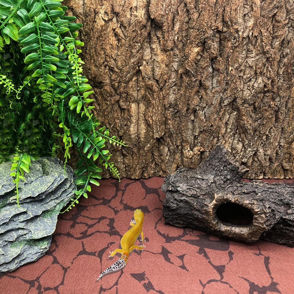 BNOSDM Reptile Cork Bark Tank Background Lizard Terrarium Wall Decor for Bearded Dragon Frog