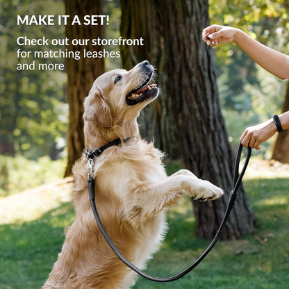 CollarDirect Rolled Leather Dog Collar, Soft Padded Round Puppy Collar, Handmade Genuine Leather