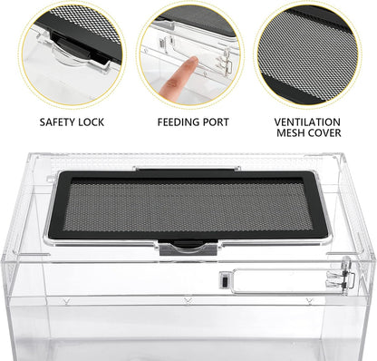 Reptile PC Terrarium Amphibian Tank Spider Enclosure Snake Cage 7x11.8x5.9inch Suitable for